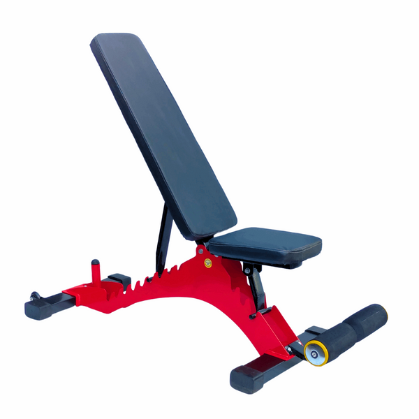 Heavy duty free standing bench with multiple adjustment levels Protoner - Sports Hubb GYM