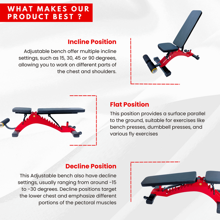 Heavy duty free standing bench with multiple adjustment levels Protoner - Sports Hubb GYM