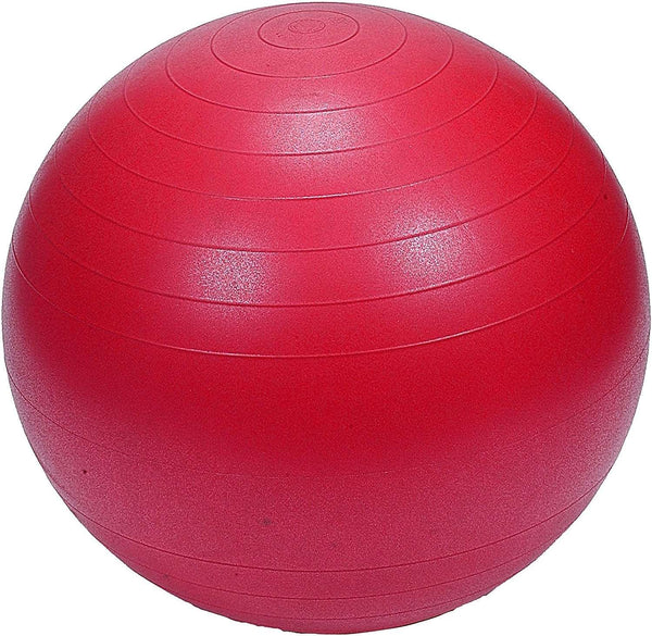 Protoner Gym Ball 65 cms fwith inflating pump Red Protoners GYM