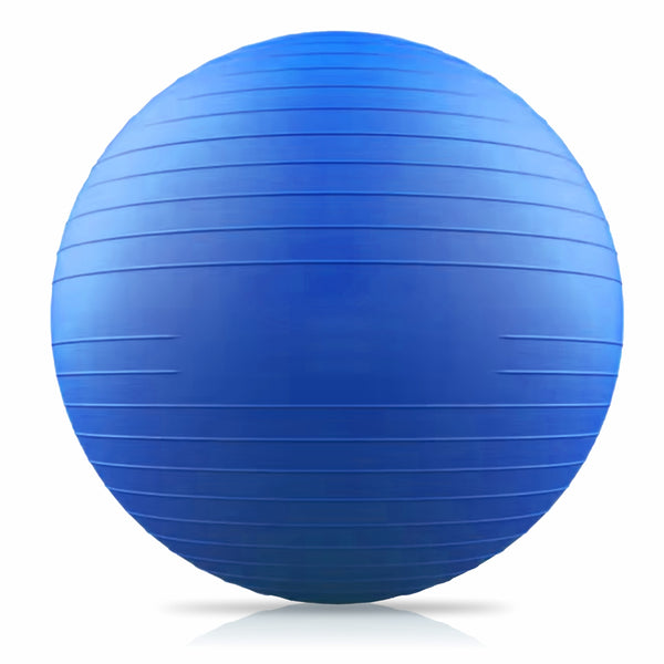 Protoner Gym Ball 65 cms with Inflating Pump Protoner - Sports Hubb GYM