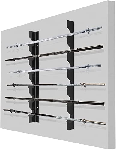 Protoner wall mountable Barbell Rack Protoners GYM