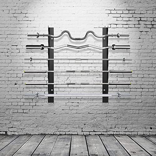 Protoner wall mountable Barbell Rack Protoners GYM