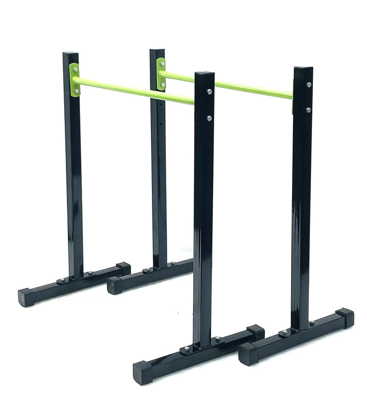 Parallel dips bars for strength training equipment and gymnastics Protoner - Sports Hubb GYM