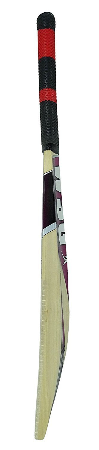 Wsg Fence Drive Kashmir Willow Wooden Full Size Short Handle Cricket Bat Protoner - Sports Hubb GYM